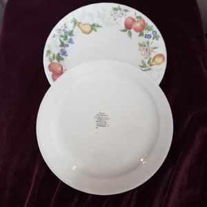 Corelle Salad Plate Chutney SWIRL RIM CORNING Fruit Apple Pear Blueberries